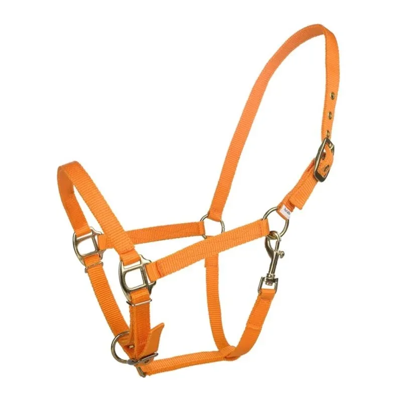 Tabelo Arab Nylon Halter with Snap - Image 2