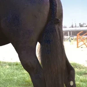 Tail Tamer® Hunter Trophy Tails™