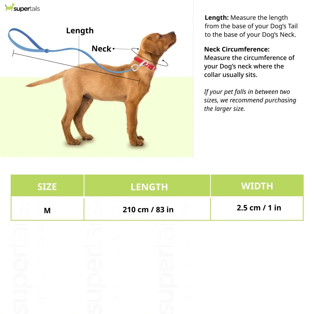 Talking Dog Club Multifunction Handsfree Leash for Dogs (Black) - Image 2