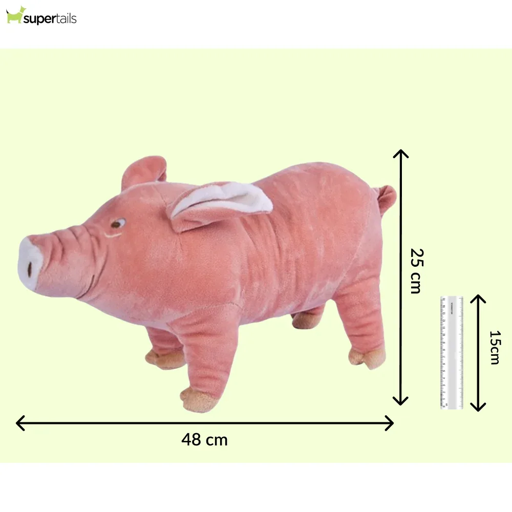 Talking Dog Club Piggy Plush Toy for Dogs (Pink) - Image 2