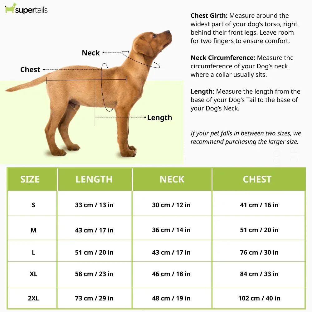 Talking Dog Club Player Ltd Edition Sports Jersey for Dogs (Orange) - Image 2