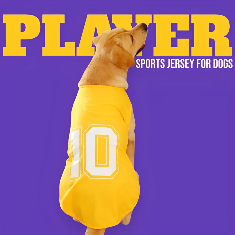 Talking Dog Club Player Ltd Edition Sports Jersey for Dogs (Yellow)