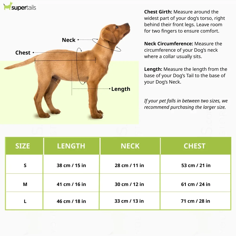 Talking Dog Club Tanky's Tank Tops for Dogs and Cats (White) - Image 2