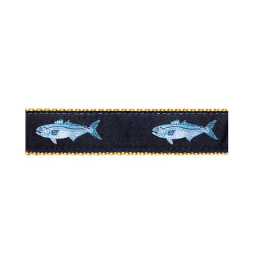 Tarpon