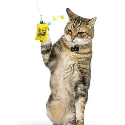 Teaser Sour Scratch Wand 2pk Cat Toy - Image 2
