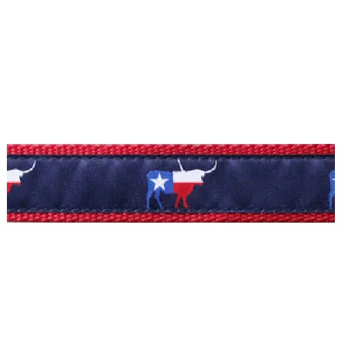 Texas Longhorn