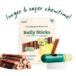 The BullySafe Better Pack