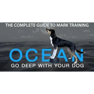 The Complete Guide to Mark Training
