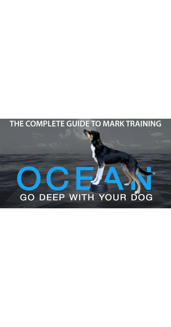 The Complete Guide to Mark Training