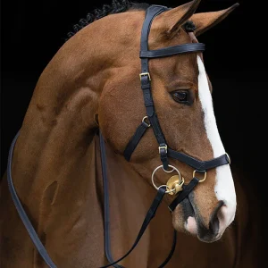 The Rambo® Micklem® Original Multibridle