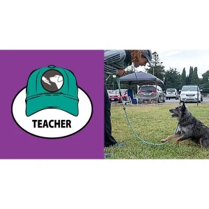 The Three Hats of Agility, Part 1: The Teacher's Hat, Dog Training the ACE Way