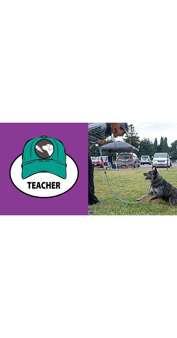 The Three Hats of Agility, Part 1: The Teacher's Hat, Dog Training the ACE Way