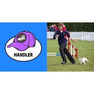 The Three Hats of Agility, Part 2: The Handler's Hat, Being the Handler Your Dog Understands
