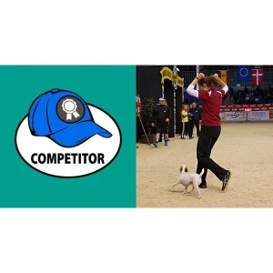 The Three Hats of Agility, Part 3: The Competitor's Hat, Being the Competitor You Want to Be