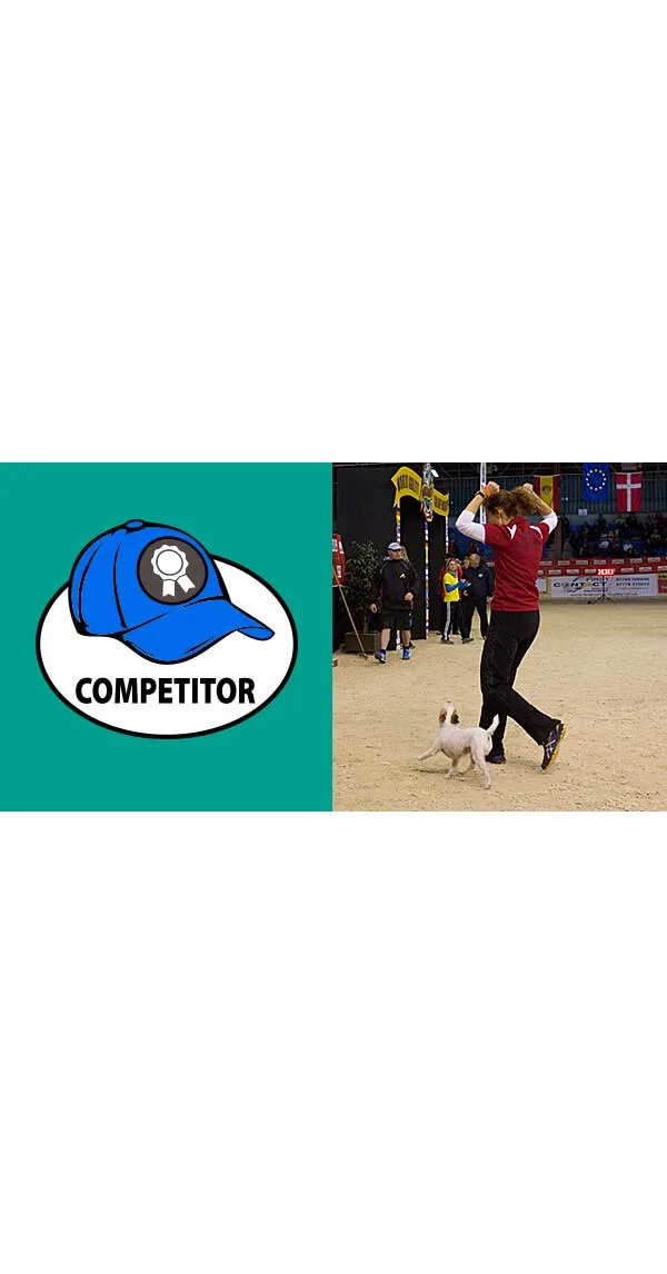 The Three Hats of Agility, Part 3: The Competitor's Hat, Being the Competitor You Want to Be