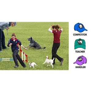 The Three Hats of Agility Program