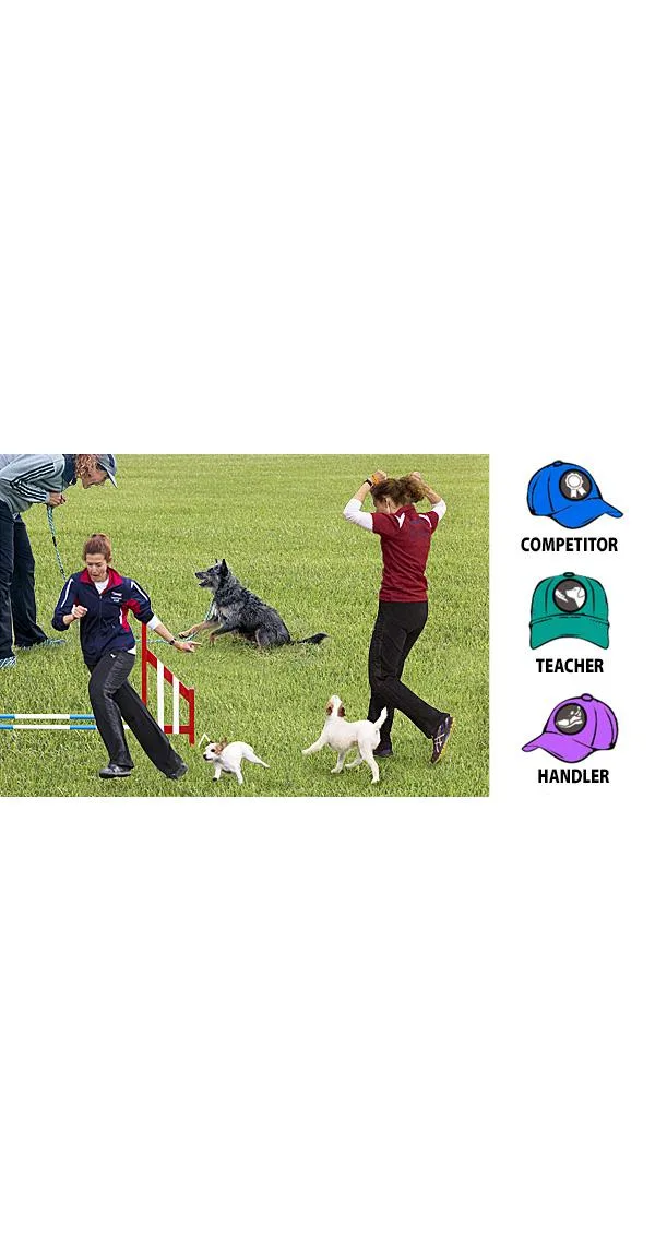 The Three Hats of Agility Program