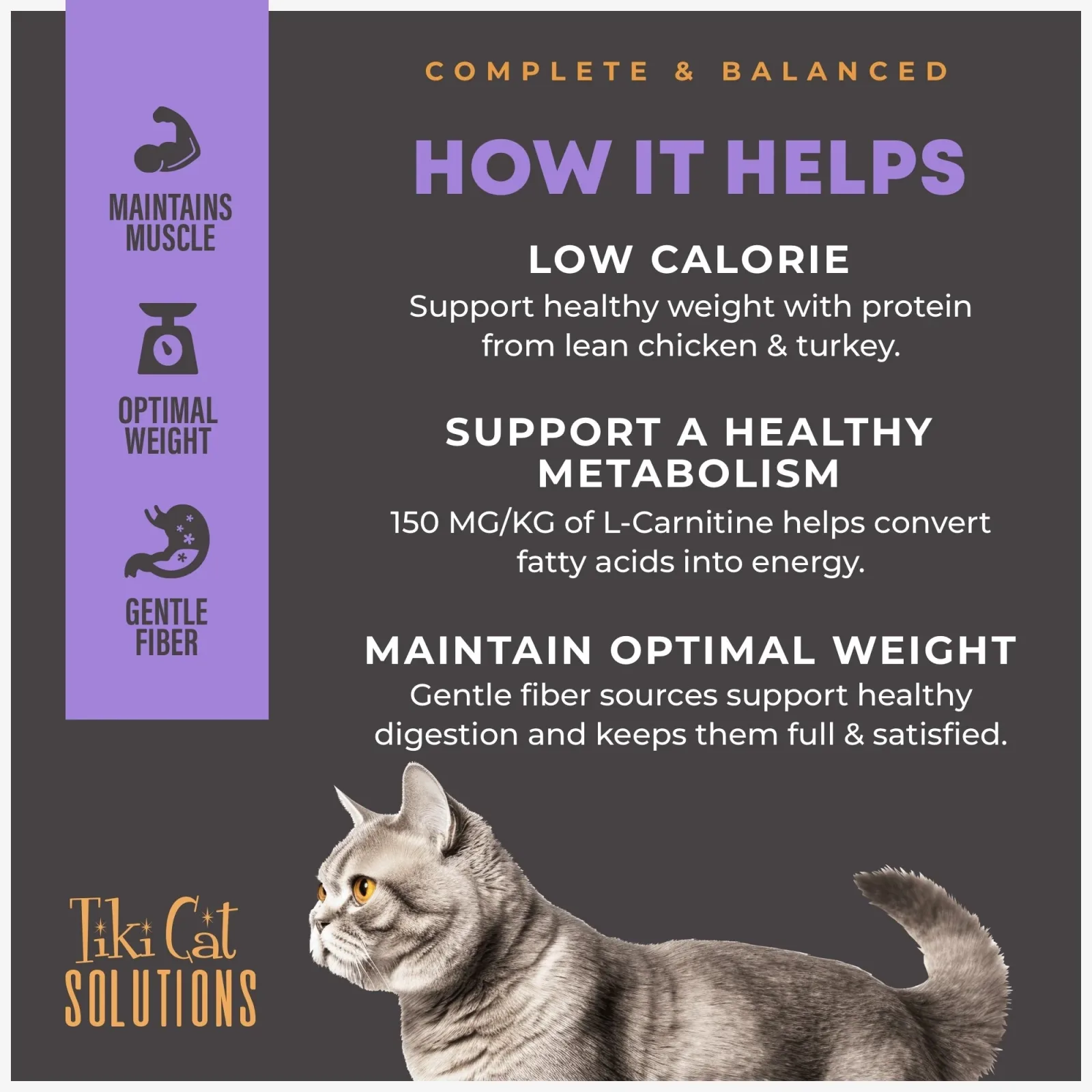 Tiki Pet Cat Solutions Light Turkey 2.8 lb - Image 2