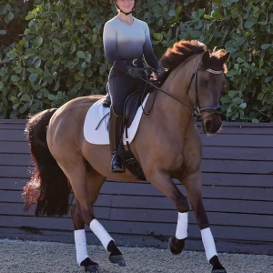 TKEQ Ladies’ Kennedy Seamless Long Sleeve Top 2.0