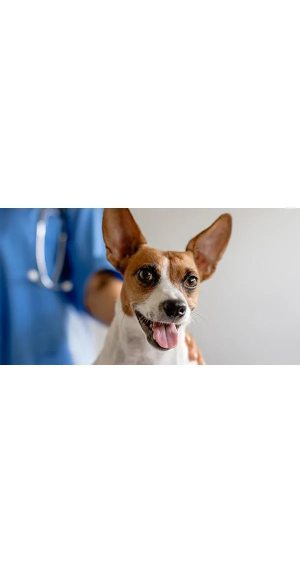 To Neuter or Not to Neuter