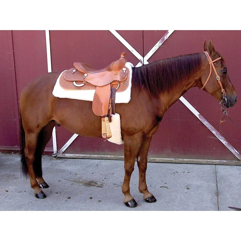 Toklat Cool Back Cinch Cover - Image 2