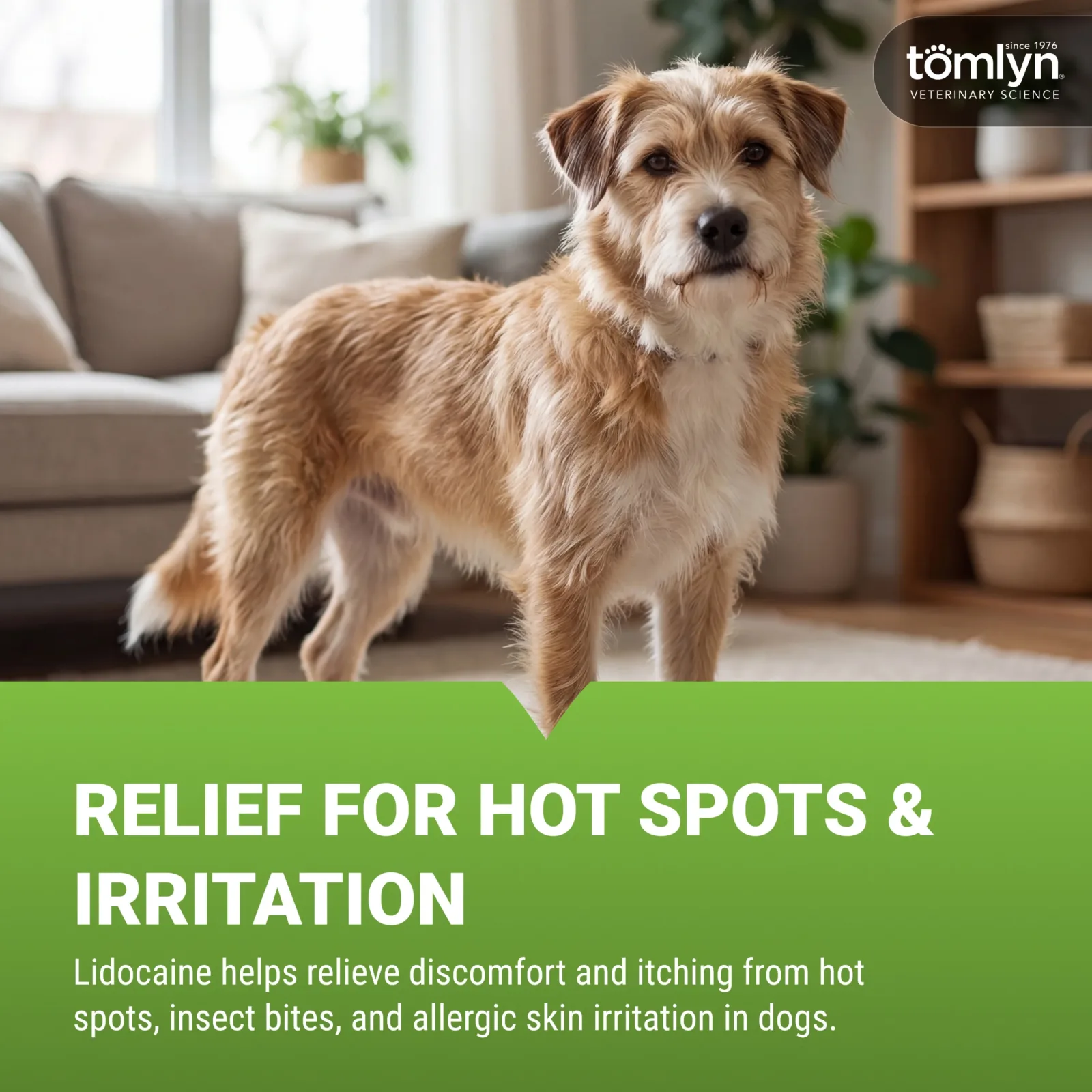 Tomlyn Allercaine Spray for Dogs - Image 2