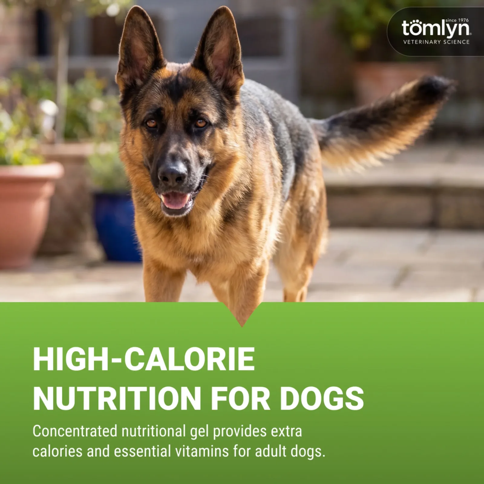 Tomlyn Nutri Cal Dog Supplements - Image 2