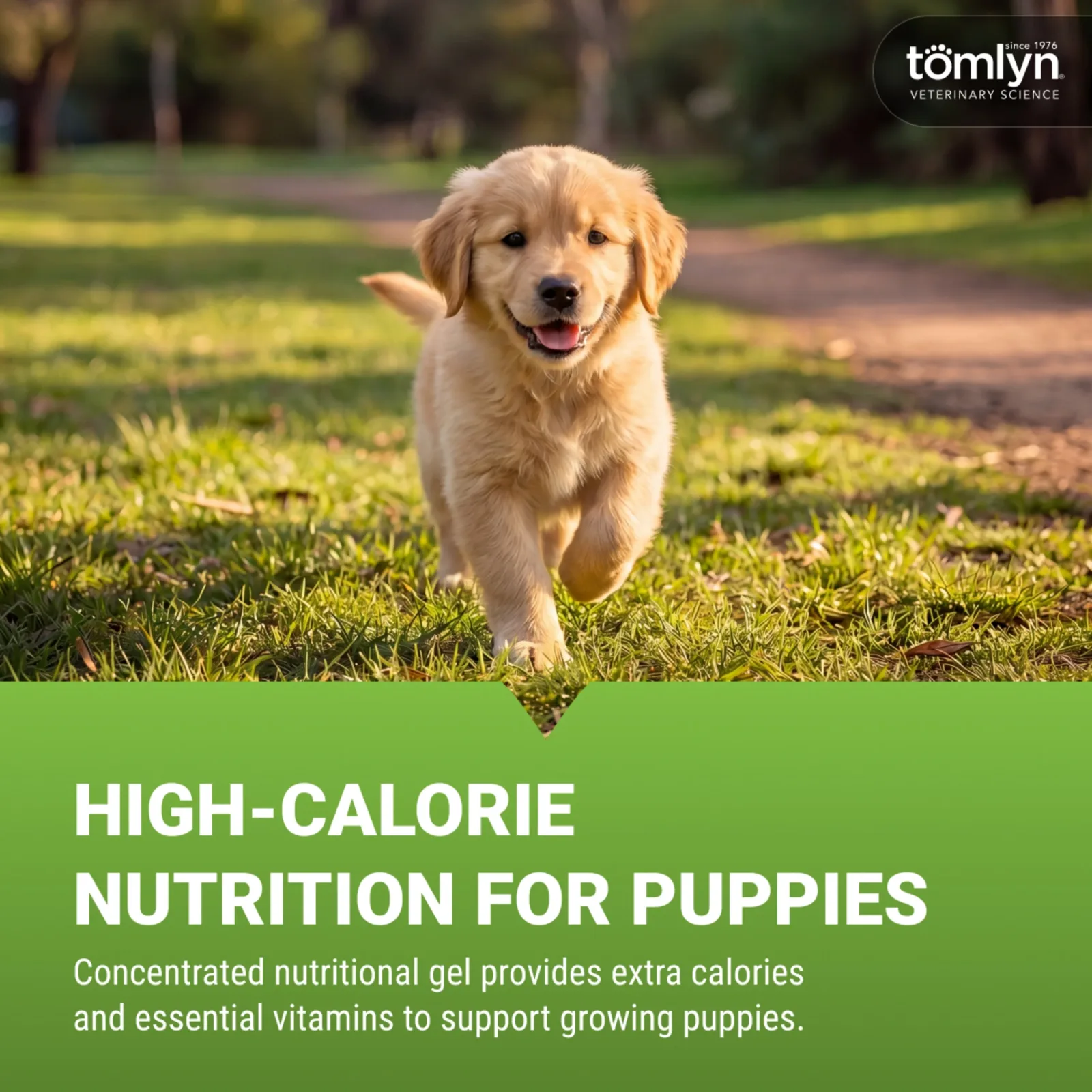 Tomlyn Nutri-Cal Puppy Malt-Flavored High-Calorie Nutritional Gel for Puppies, Helps Support a Healthy Appetite for Puppies Providing extra Calories, Vitamins, and Minerals in a Tasty Supplement, 4.25oz. - Image 2