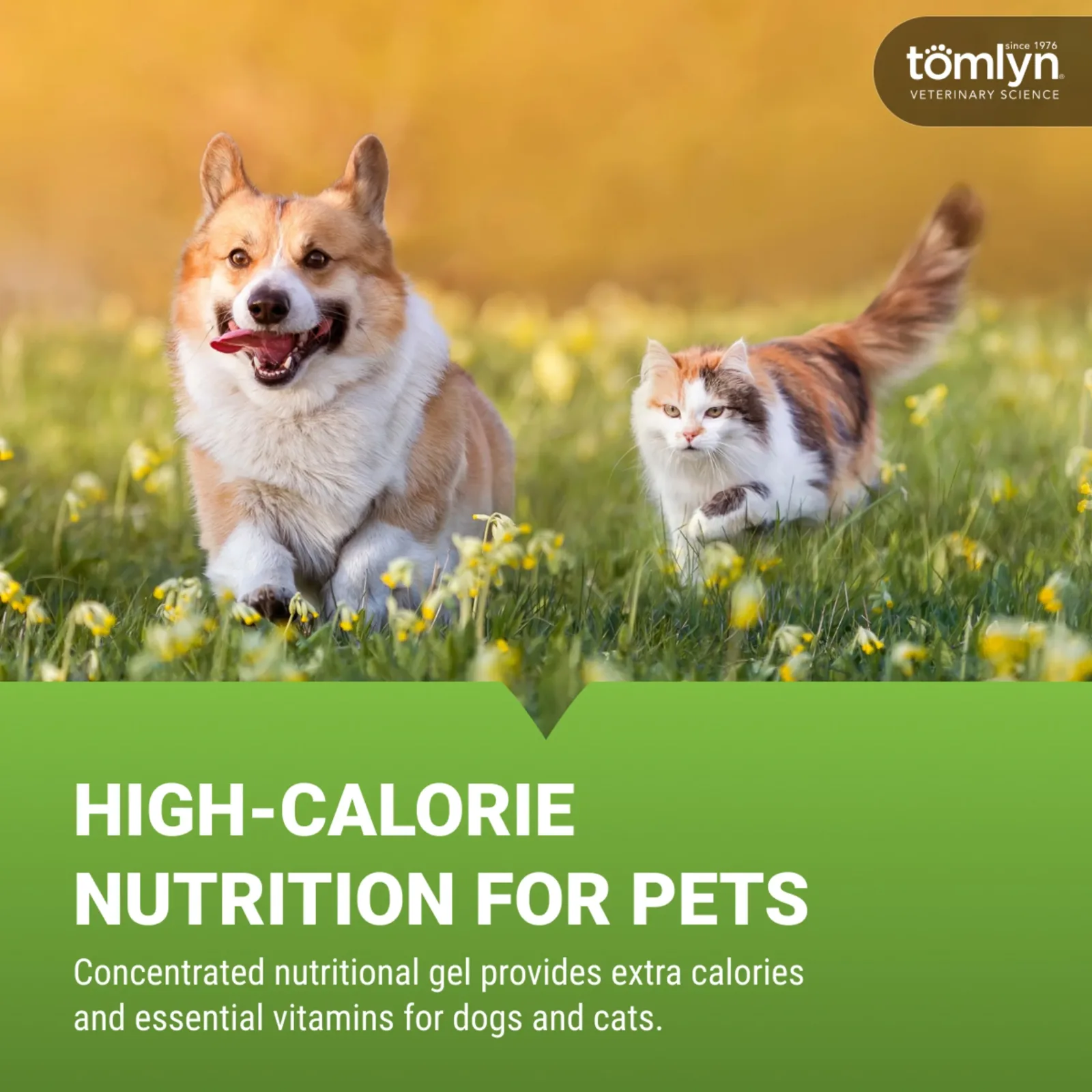Tomlyn Nutri Stat Nutritional Supplements for Pets - Image 2