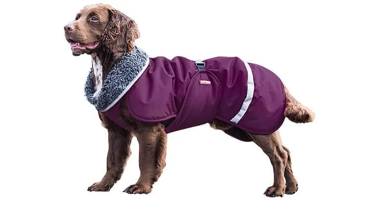 Toppa Pomppa Insulated Winter Dog Coats