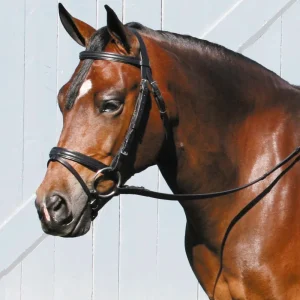 Tory Leather Company Deluxe Padded Dressage Bridle with Buckle Bit Ends