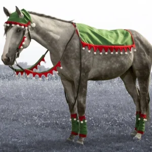 Tough1 5 Piece Western Holiday Set Elf