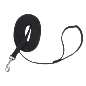 Train Right!® Cotton Web Dog Training Leash, 15ft