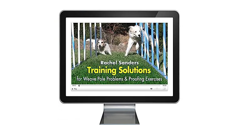 Training Solutions for Weave Pole Problems & Proofing Exercises