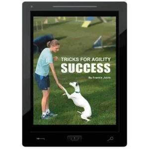 Tricks for Agility Success E