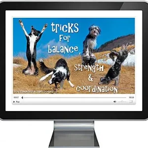 Tricks for Balance, Strength & Coordination