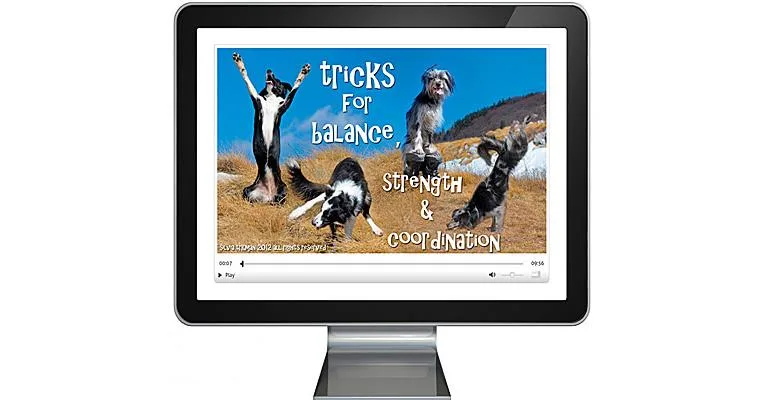 Tricks for Balance, Strength & Coordination