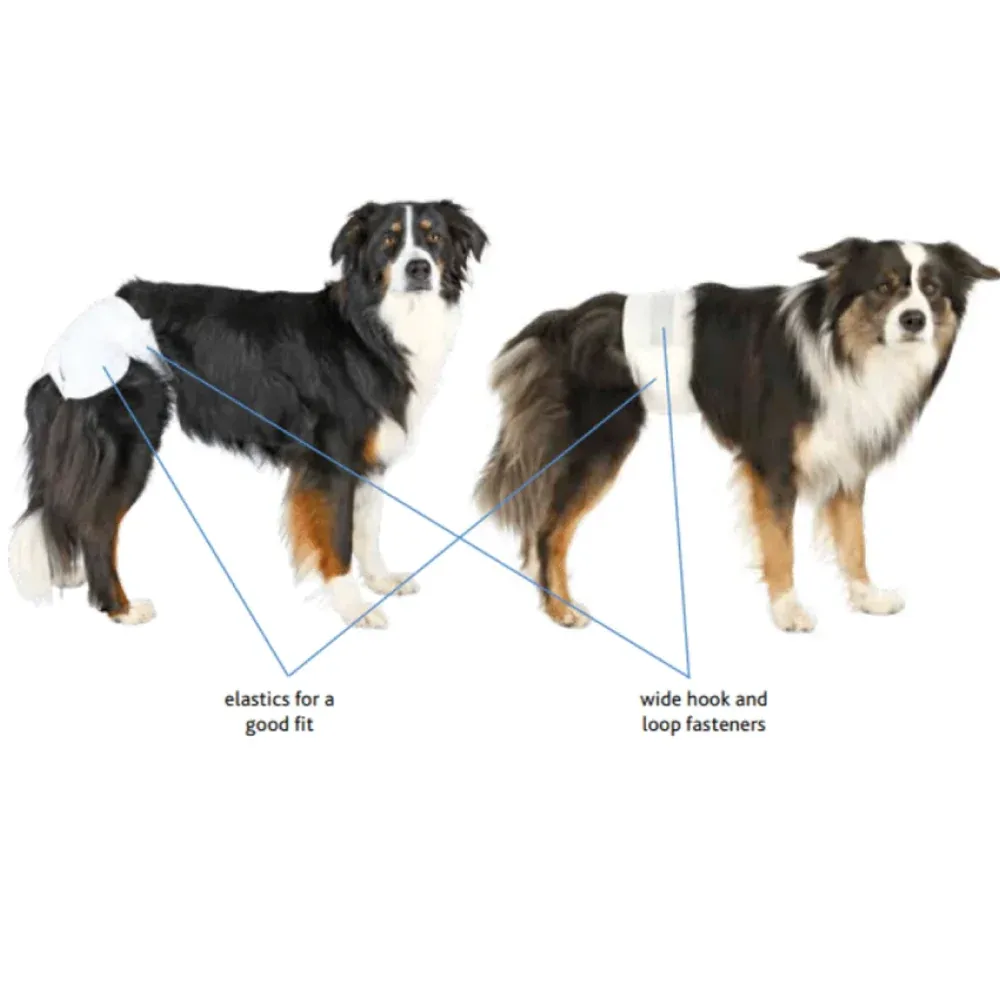 Trixie Diapers for Male Dogs (40x60cm) - Image 2