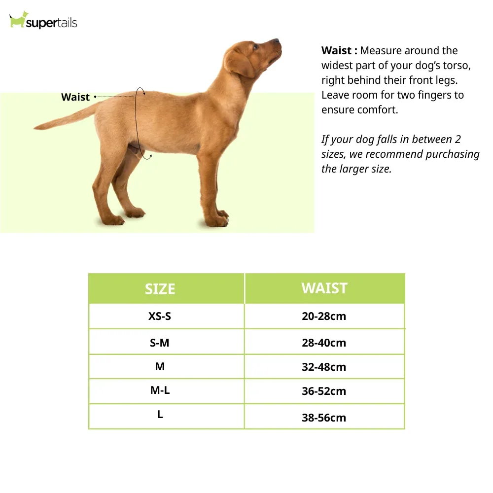 Trixie Female Diapers for Dogs (36x52cm) - Image 2