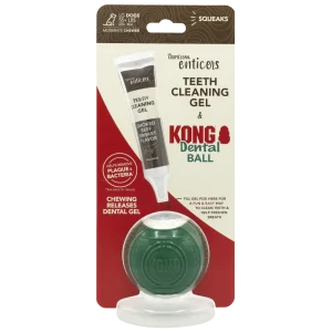 TropiClean Enticers Teeth Cleaning Gel & KONG Dental Ball Beef Brisket 1 oz, Large