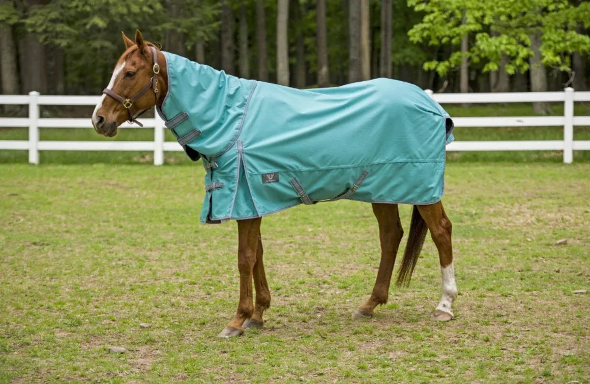 TuffRider 1200D Winter Comfy Detachable Neck Sheet - Image 2