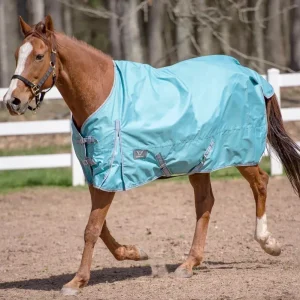 TuffRider 600 D Comfy Winter Standard Neck Turnout Sheet- Turquoise- 69