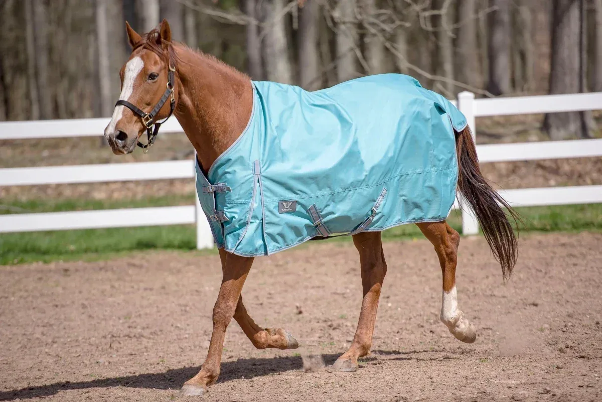 TuffRider 600 D Comfy Winter Standard Neck Turnout Sheet- Turquoise- 69 - Image 2