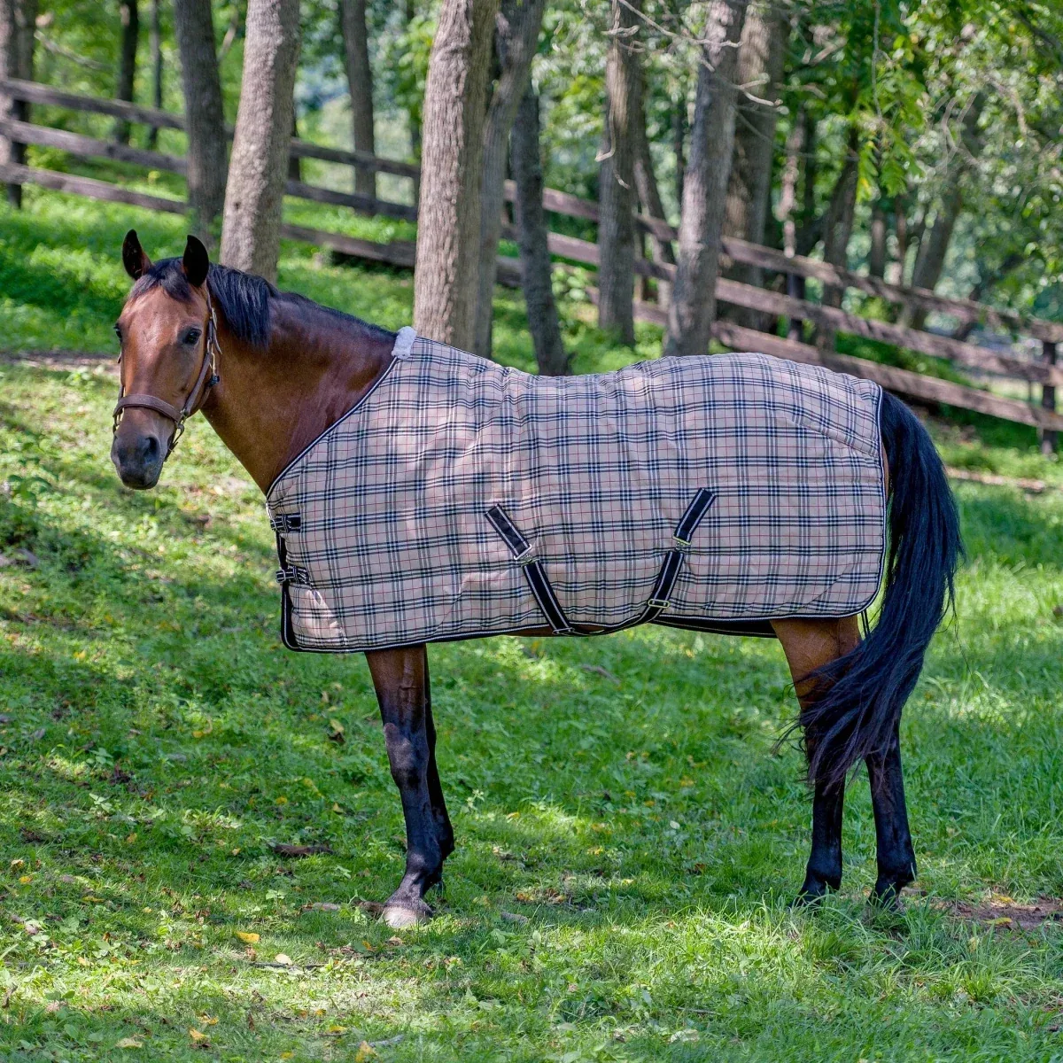 TuffRider Comfy Standard Neck Medium Weight Stable Blanket- 1200D, 200 GSM- Beige and Black Plaid- 69 - Image 2