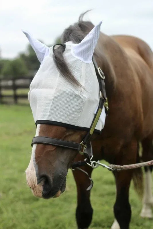 TuffRider Fly Mask with Ears - Image 2