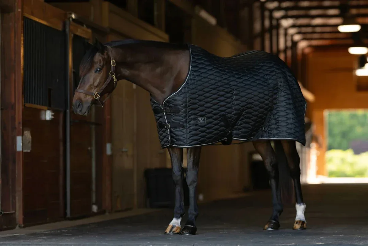 TuffRider Kozy Komfort Stable Blanket With Diamond Quilting -420 D 200 GSM of fill- Black with Black/White Trim, 69 in