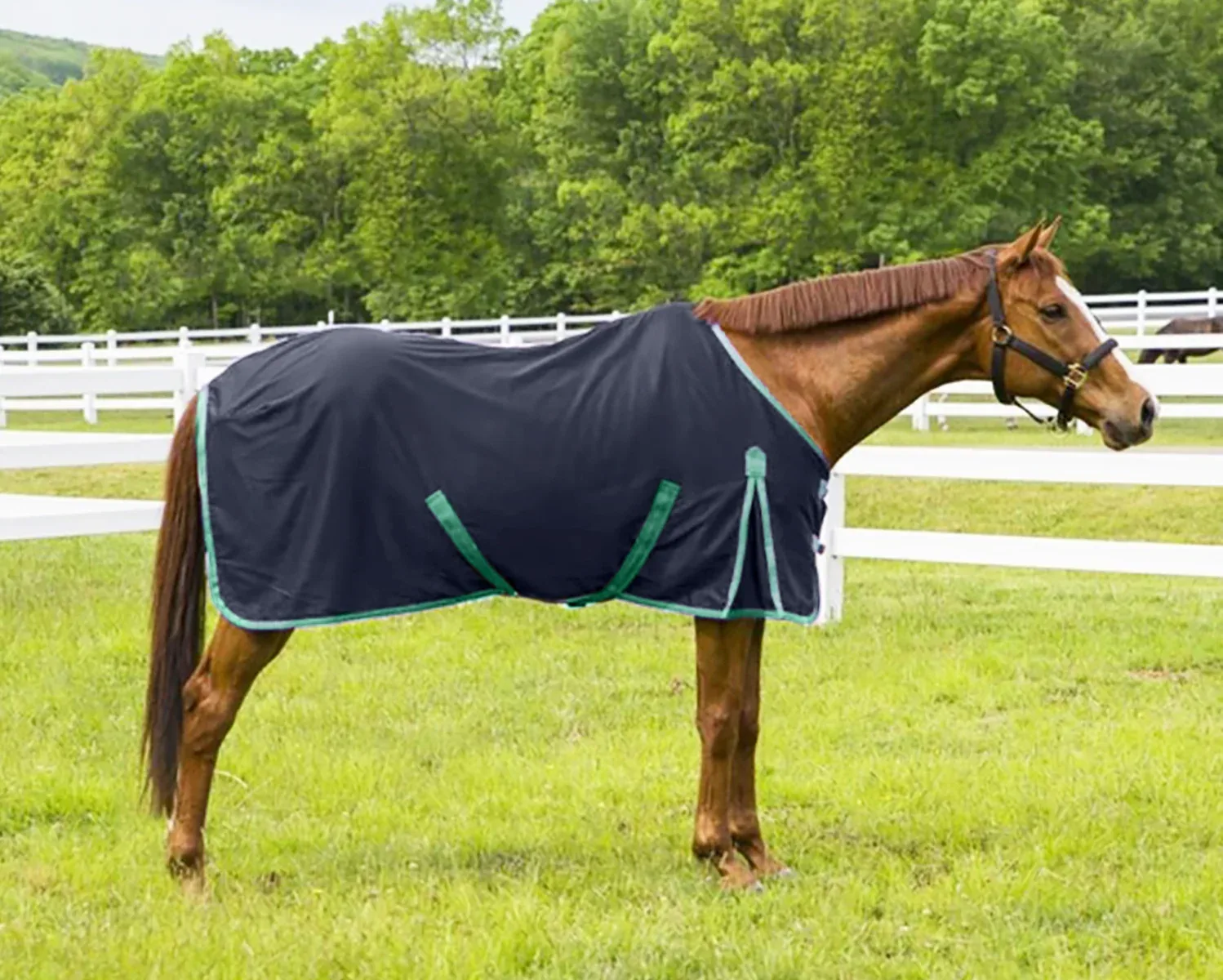 TuffRider® Kozy Komfort Stable Sheet - Image 2