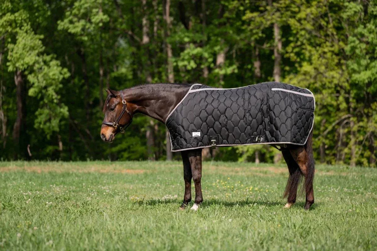 TuffRider Shelter Closed Front Heavyweight Stable Blanket-Black/Grey, 72 in - Image 2