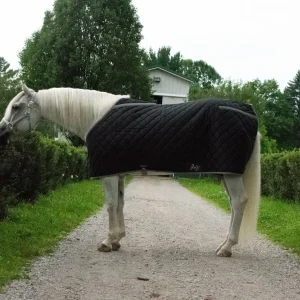 TuffRider Shelter Closed Front Medium Weight Stable Blanket