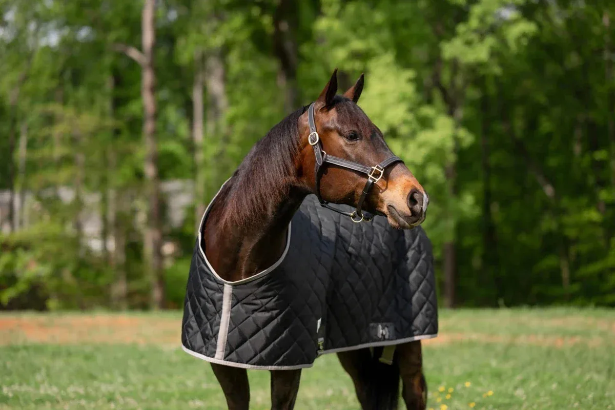 TuffRider Shelter Closed Front Medium Weight Stable Blanket-Black/Grey, 68 in - Image 2